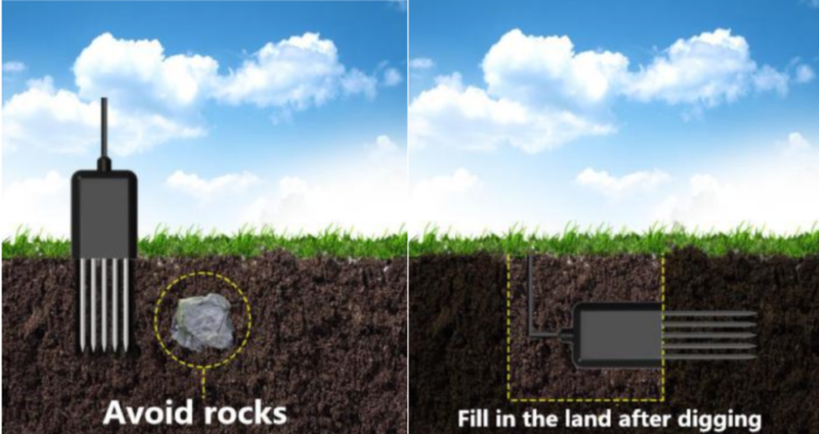 soil sensor installed